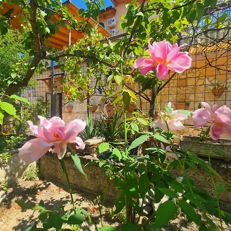 بيت للعطل Residenza Magister *